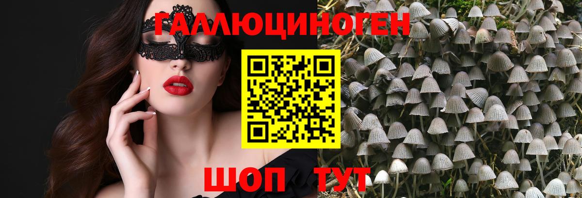 Псилоцибиновые грибы Magic Shrooms Щёлково