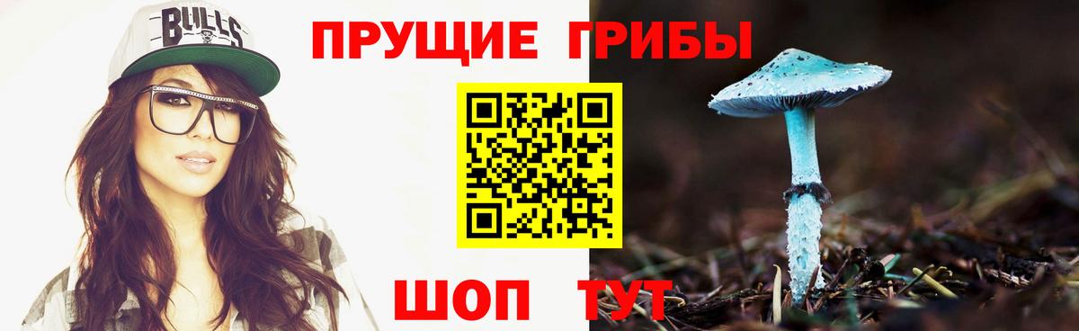 Галлюциногенные грибы Magic Shrooms Щёлково